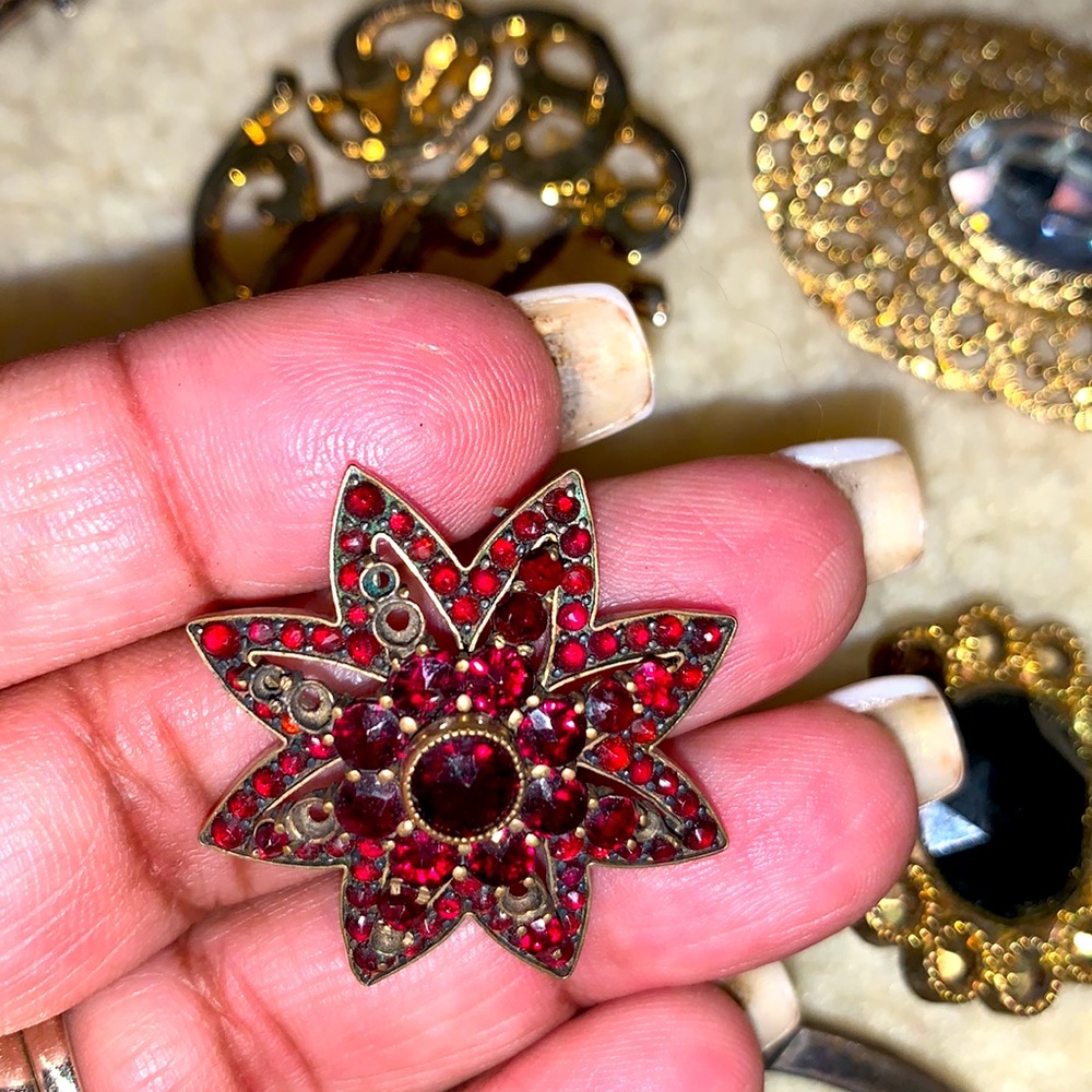 Various Women’s brooches (30 in total!)